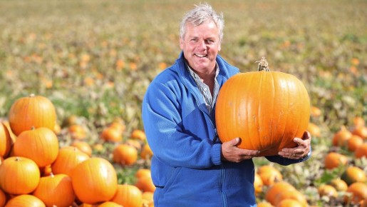 Соседи ахнут, увидев 30-килограммовую тыкву: с этими приемами вырастите гиганта